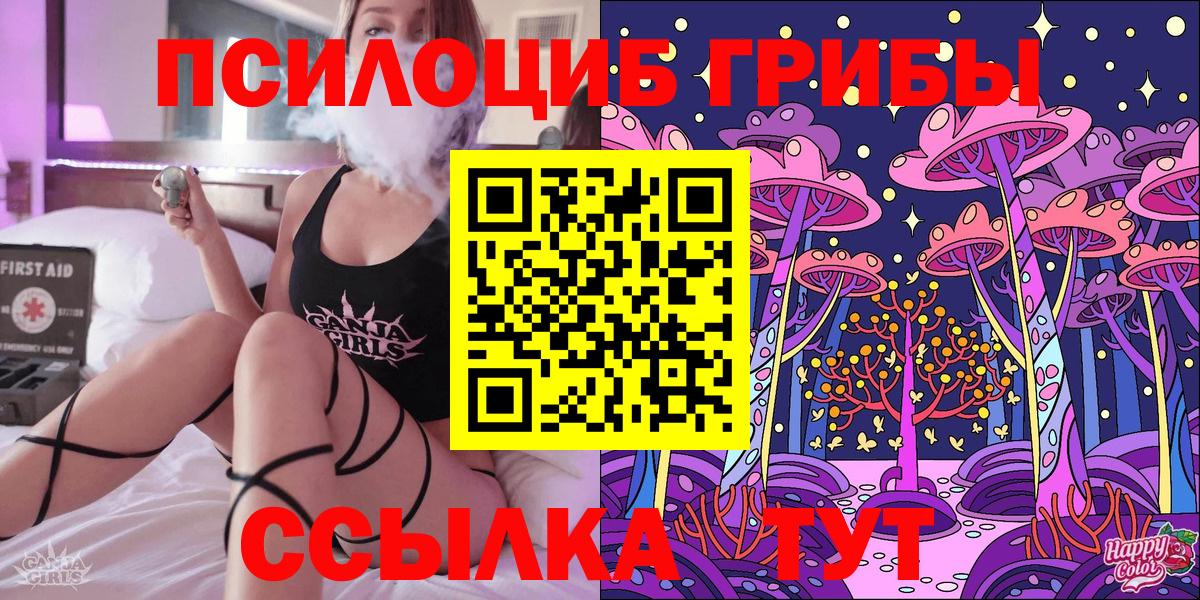 Галлюциногенные грибы GOLDEN TEACHER  Галлюциногенные грибы Psilocybe  Мыски  Вход с VPN 