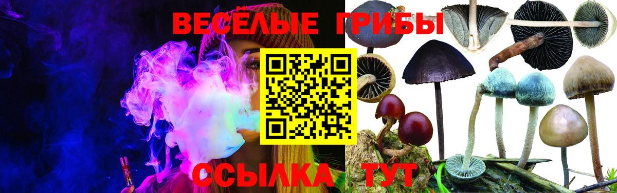 Псилоцибиновые грибы мицелий Мыски